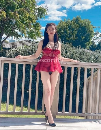 View Daisy, Auckland Escort | Tel: 0225684409