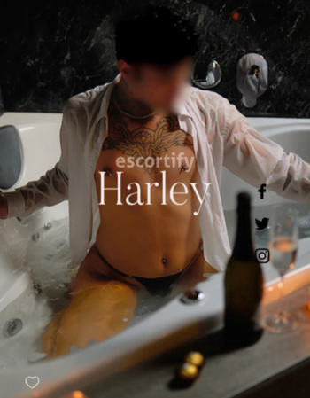 View Harley, Males Escort | Tel: 0223072526