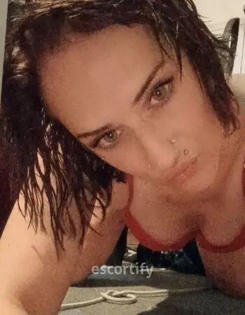 View ❤️Littlemiss❤️, Hamilton Escort | Tel: 022032165