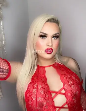 View TS BARBIE, Auckland Escort | Tel: 0272032251
