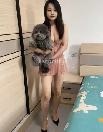 View Chenchen, Hamilton Escort | Tel: 0210293702
