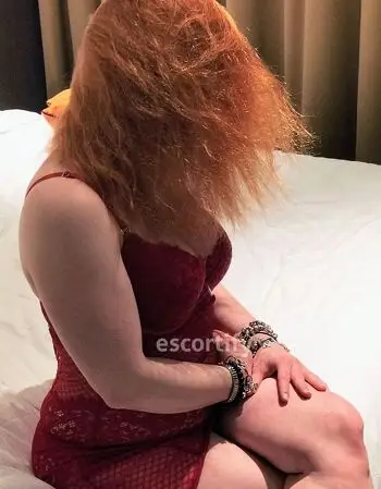 View Jessica Rabbit, Wellington Escort | Tel: 0277726237